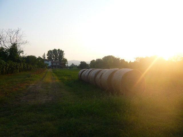 Agriturismo Bosco Del Fracasso スカンディアーノ エクステリア 写真
